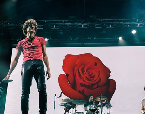 The Kooks