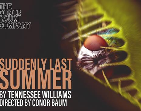 Suddenly Last Summer