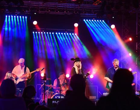 Fleetwood Mac Tribute - Our Own Way