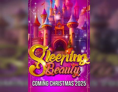 Sleeping Beauty - Prime Time Plus