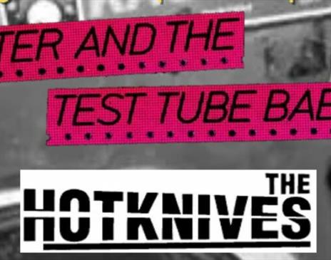 PETER AND THE TEST TUBE BABIES
