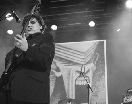 The Chameleons
