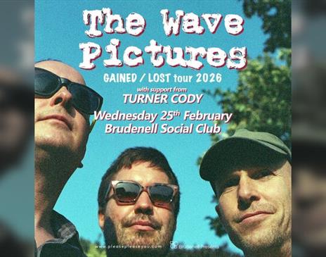 The Wave Pictures