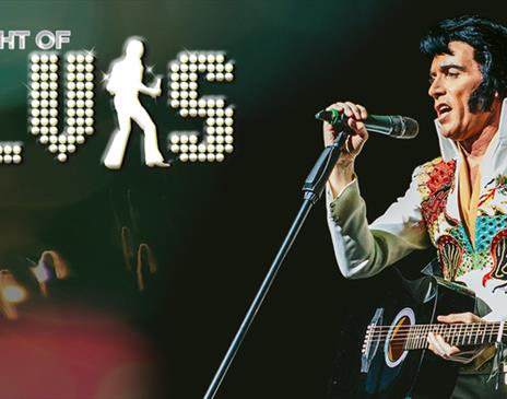 One Night of Elvis: Lee 'Memphis' King