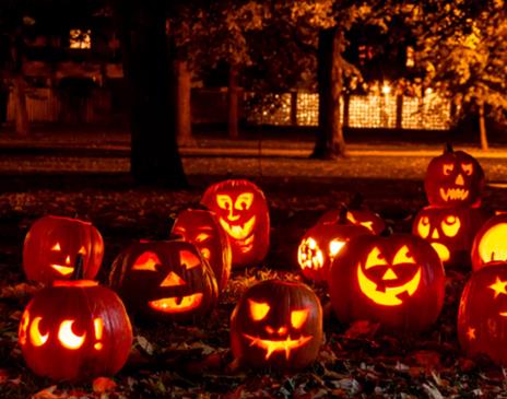 Halloween Half Term at One Garden