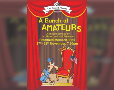 A Bunch of Amateurs by Ian Hislop & Nick Newman