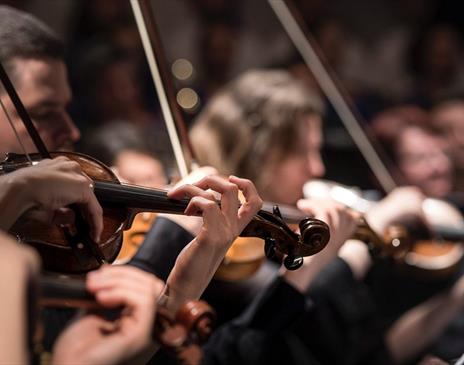 Violinists performing