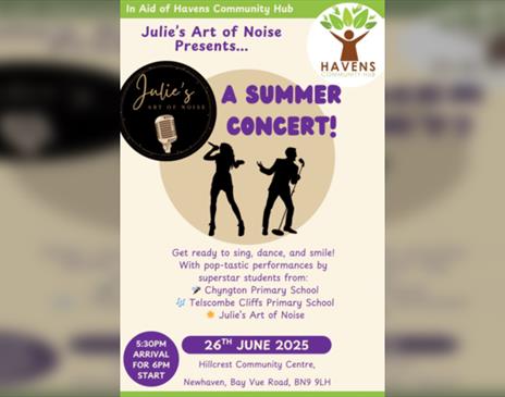 Julie's Art of Noise-Summer Concert