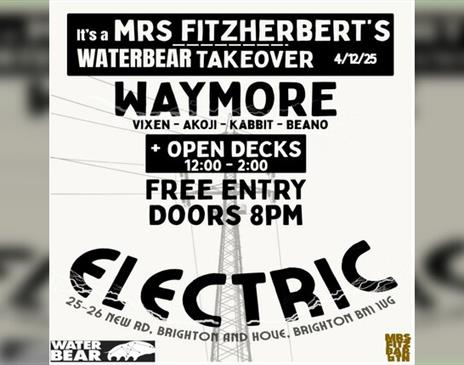 Electronic Takeover @ Mrs Fitzherberts