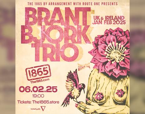 Brant Bjork Trio