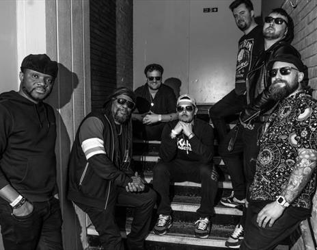 The Dualers