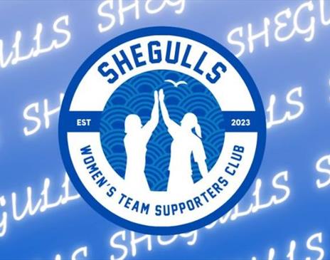 SHEGULLS SUMMIT 2025