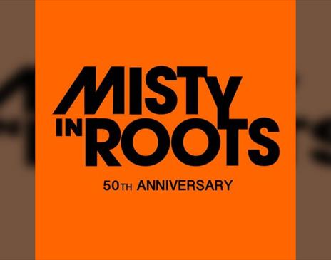 Misty In Roots