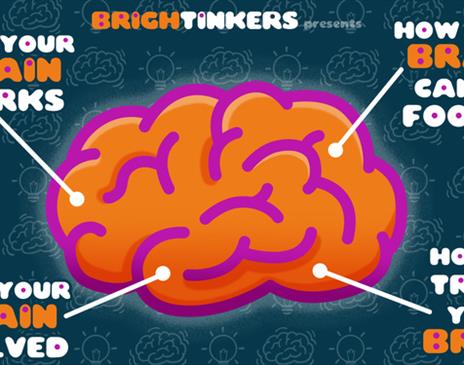Discover Your Amazing Brain and How To Use It Wisely!