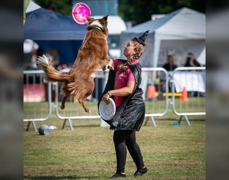 The National Dog Show