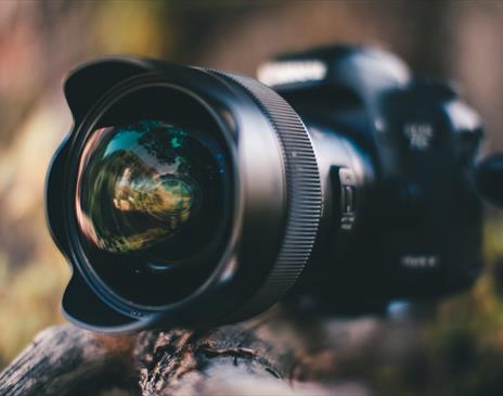 Large camera on wooden branch