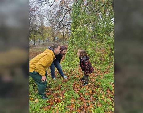 Nature Wellbeing Activity Walks