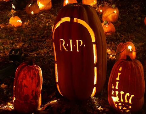 Two pumpkins carved with a skeleton hand pointing up and a tombstone