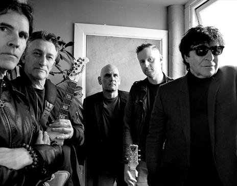 The Chameleons