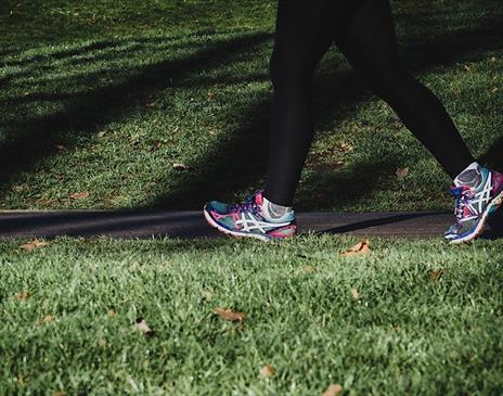 Person walking through a park