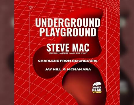 Underground Playground: STEVE MAC