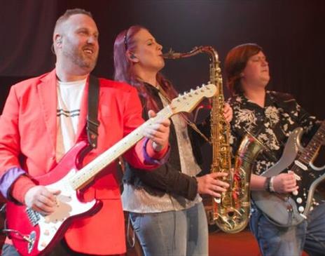 DS:UK Tribute To Dire Straits