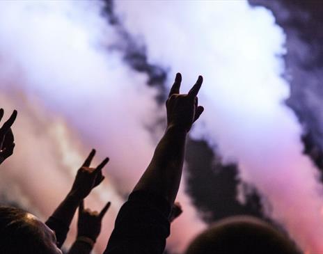 Hands in the air with pink and purple smoke