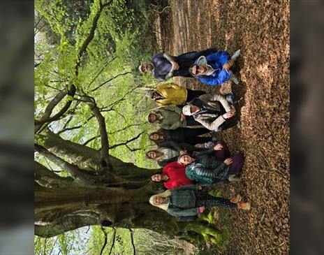Forest Bathing
