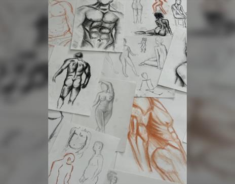 Sips and Sketches: Life-drawing