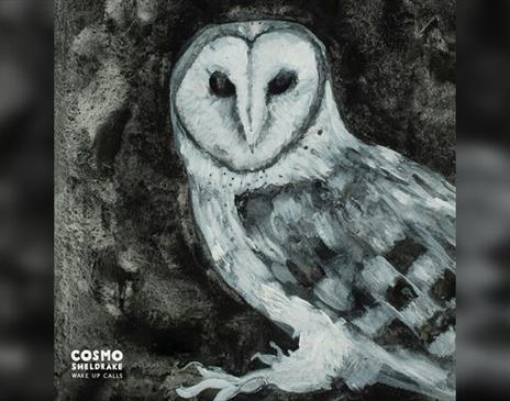 Record Box 360 Listening Sessions - Cosmo Sheldrake: Wake Up Calls