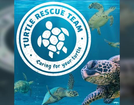 Join our Turtle Rescue Team!