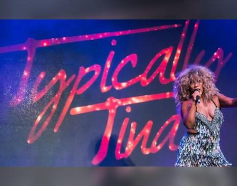 Tina Turner Tribute