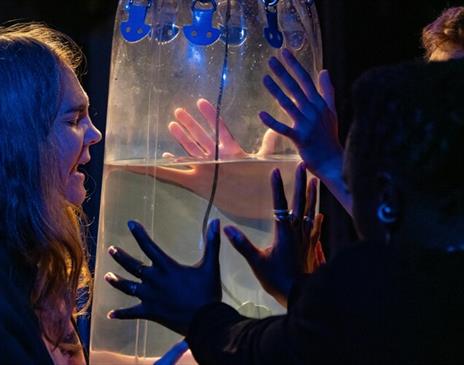 Jenny Moore 'wild Mix'