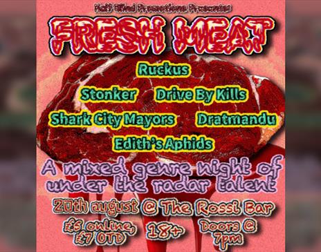 Fresh Meat: A mixed genre night of under the radar talent