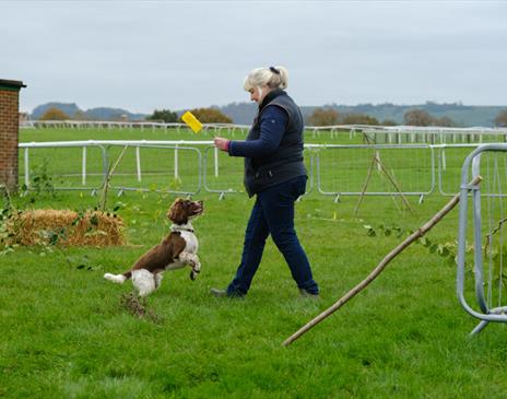 The Great British Truffle Festival