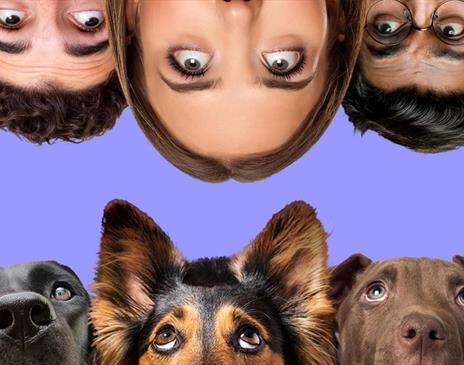 The Psychology of Dogs