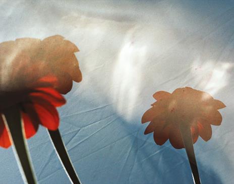 The Craft of the Gardener
