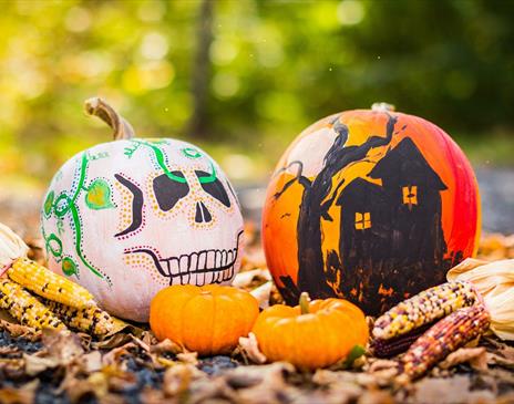 Ears of corn and pumpkins painted like a skull and haunted house