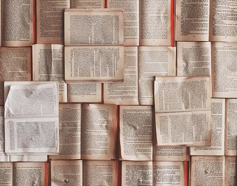 Many open books laid out together