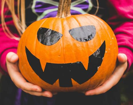 Girl in witch costume holding a smiling pumpkin