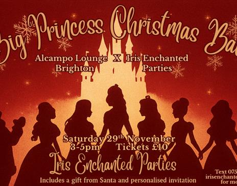 The Big Princess Christmas Ball