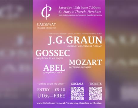 Causeway Chamber Orchestra - By Royal Appointment