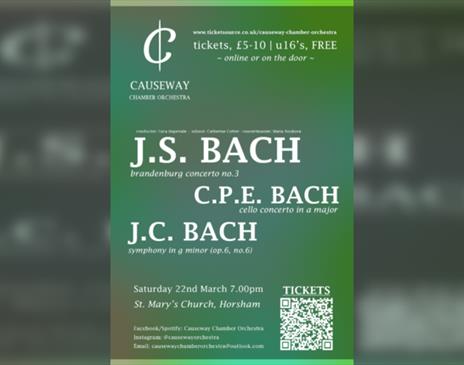 Causeway Chamber Orchestra - A MUSICAL OFFERING