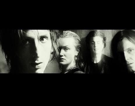 The Horrors