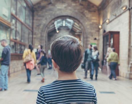 Child looking around a museum