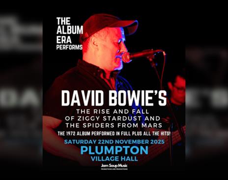 David Bowies The Rise and Fall of Ziggy Stardust and the Spiders From Mars