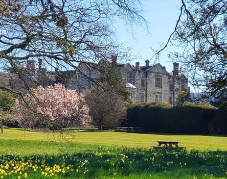 Sussex Day