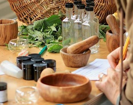 Crafty Christmas Herbal Workshop