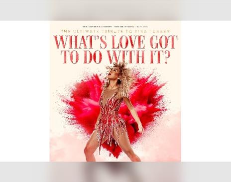What's Love Got To Do With It?