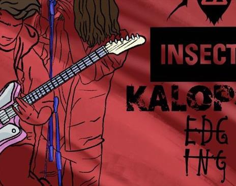 Insectus, Kalopsia and Edging at Pipeline